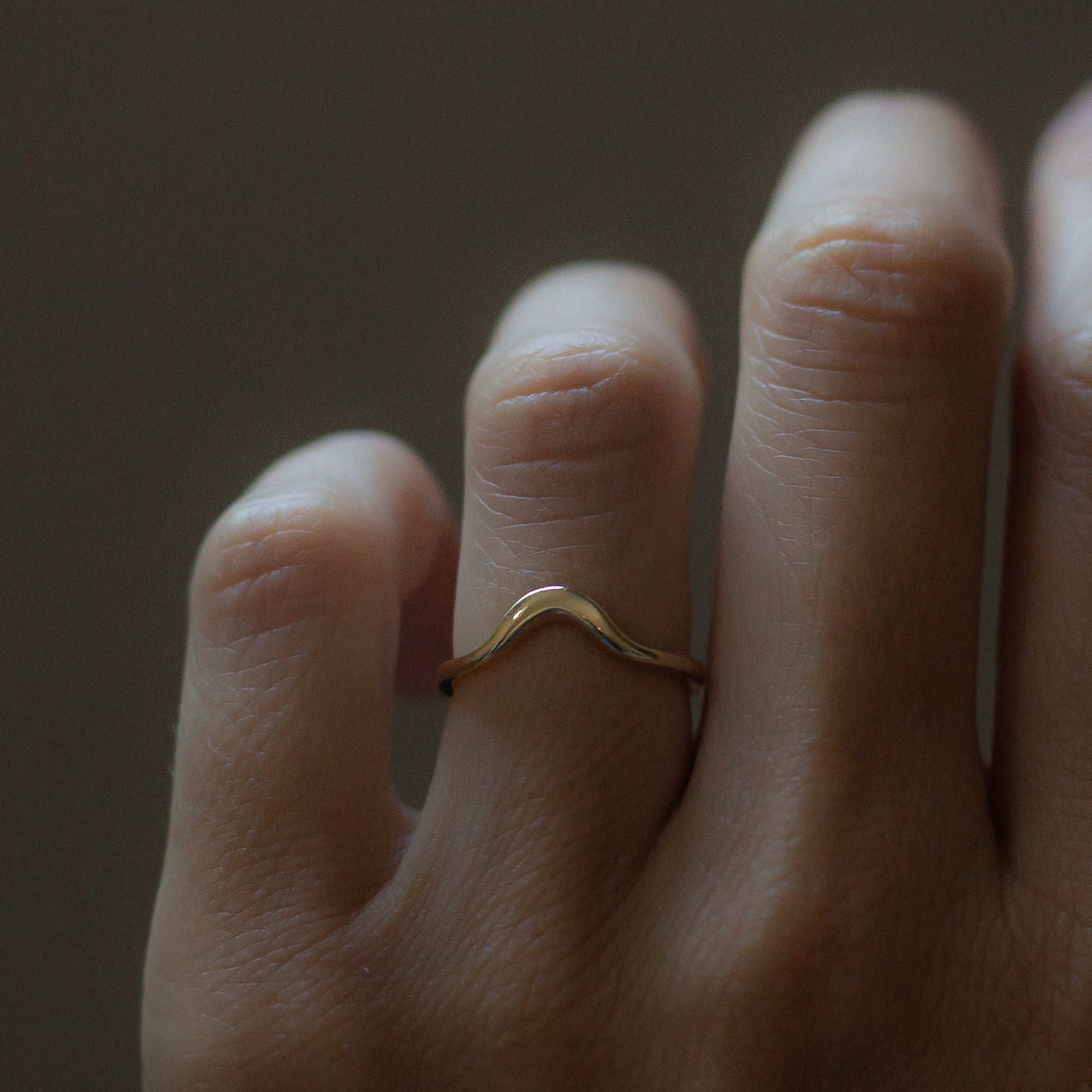 HORIZON — Wave Ring