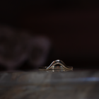 HORIZON — Wave Ring