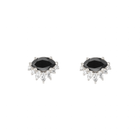 Black diamond white gold earrings.