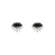 Black diamond white gold earrings.