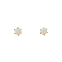 Opal gold earrings