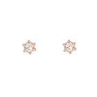 Rose gold rose cut diamond earrings 